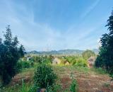 ► ĐẤT NAM BAN.LÂM HÀ.LÂM ĐỒNG