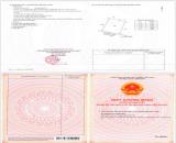 CHÍNH CHỦ Cần Bán 5600M2 Đất Lúa - MẶT TIỀN Châu Thị Kim, An Vĩnh Ngãi, TP Tân An, Long An