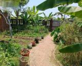 CẦN BÁN NHÀ VƯỜN VIEW SÔNG CÁI  HÒA PHƯỚC - HÒA VANG- ĐÀ NẴNG – DIỆN TÍCH LỚN, VỊ TRÍ ĐẸP