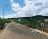 Đất Trung Tâm Thị Trấn Lạc Dương – Gần KDL Langbiang, View Thông Tuyệt Đẹp