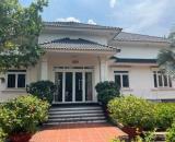 SIÊU PHẨM BIỆT THỰ VƯỜN (42x56) BÌNH MỸ, CỦ CHI SÁT VÁCH HÓC MÔN – GIÁ SIÊU TỐT