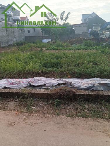 Bán Đất - Yên Ninh(Hiền Ninh) 111M2 Full Thổ Cư - 2,3 Tỷ