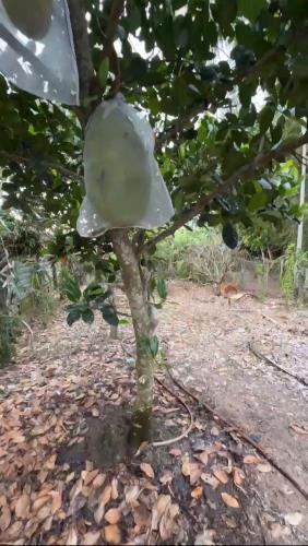 BÁN NHÀ và ĐẤT KV14, P.CHÂU V LIÊM (cũ): Số nhà: 296/44 - 4