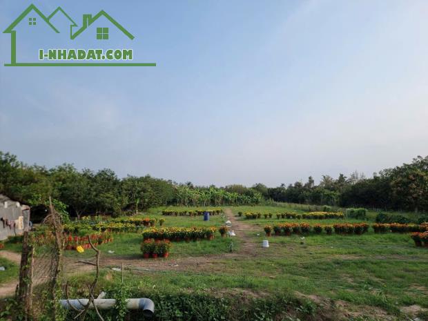 ĐẤT ĐẸP – GIÁ TỐT – CHÍNH CHỦ BÁN TẠI Đường Quốc Lộ 57, Xã Bình Hoà Phước, Long Hồ, Vĩnh - 1