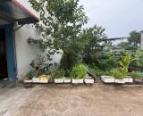 🌈 HÀNG ĐẸP - HÀNG HIẾM NGAY CHỢ CỐNG CHÚC SƠN, GIÁ HƠN 3 TỶ