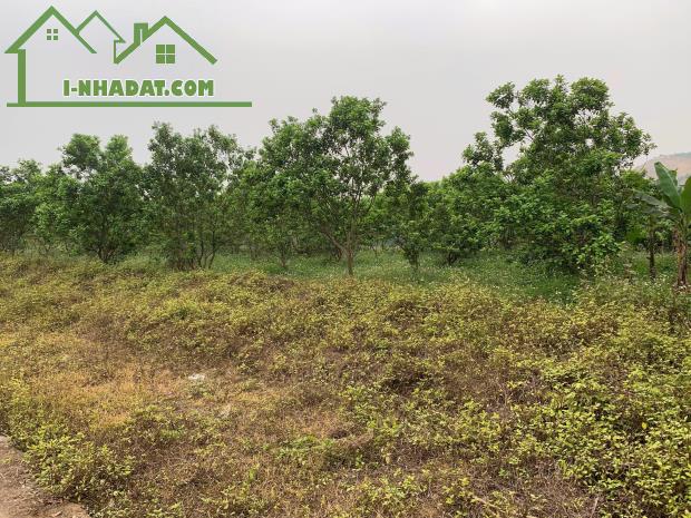 CHÍNH CHỦ CẦN BÁN GẤP LÔ ĐẤT ĐẸP TẠI KM9 – THÁI LONG - TUYÊN QUANG - 1