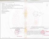 ĐẤT ĐẸP - ĐẦU TƯ SINH LỜI - Cần Bán Gấp Lô Đất Tiềm Năng Xã Phước Lý, Cần Giuộc, Long An