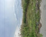 Vợ Chồng Ly Hôn Cần Bán Gấp Miếng Đất Chia Tài Sản ,dt125m2 Shr Giá Chỉ 1tỷ580tr