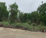 CHÍNH CHỦ CẦN BÁN GẤP LÔ ĐẤT ĐẸP TẠI KM9 – THÁI LONG - TUYÊN QUANG