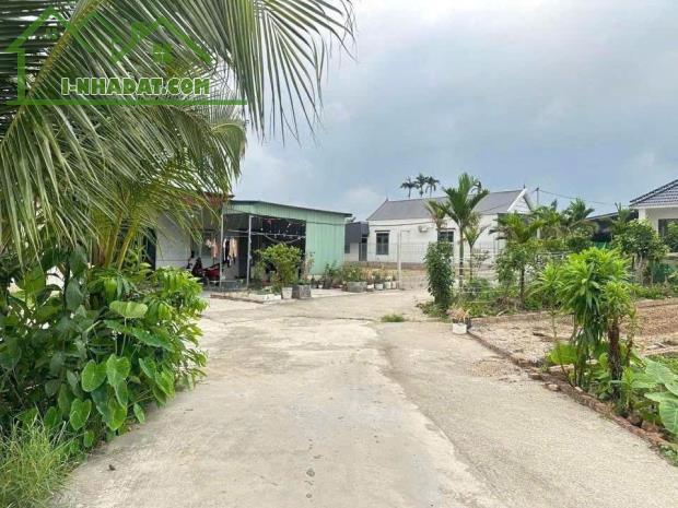 Đất ô tô vào tận nơi – Trung tâm Tân Phong, Kiến Thụy  Giá chỉ nhỉnh 6xx triệu  ZALO 0567 - 3