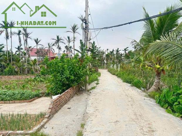 Đất ô tô vào tận nơi – Trung tâm Tân Phong, Kiến Thụy  Giá chỉ nhỉnh 6xx triệu  ZALO 0567 - 4
