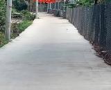 BÁN NHANH LÔ ĐẤT TL826 10m x 20m LONG HÒA – CẦN ĐƯỚC, LONG AN-SHR – XÂY DỰNG TỰ DO -21 tri