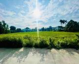 Ngộp Bank bán 588m2 đất thổ HAI MẶT TIỀN TRƯỚC – SAU gần khu công nghiệp Nam Thuận Đức Hòa