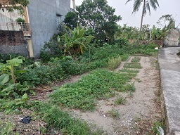 BÁN ĐẤT CHÍNH CHỦ – VỊ TRÍ ĐẸP MẶT ĐƯỜNG LỚN - 4