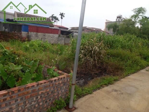Đất giá rẻ Hữu Bằng – Kiến Thụy, ô tô vào tận nơi chỉ 7xx triệu  ZALO 0567 222 555 - 4
