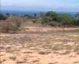 Đại Hạ Giá-Đất Gần Sealink Rạng Đông-Thiện Nghiệp-Phan Thiết-DT 22.600m2