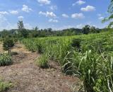 CHÍNH CHỦ CẦN BÁN ĐẤT GẦN 1,7HA CÓ 400M² THỔ CƯ – NHÀ CẤP 4 SẴN – MẶT TIỀN KHỦNG 91M- LỘC