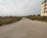 Bán 2 lô biệt thự DT 360 M TĐC Nam Hải Hải An