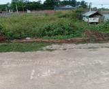 Bán Đất - Thái Lai (Minh Trí) - 60M2 Full Thổ Cư - 1,45Tỷ - Đường Rộng 5 Mét