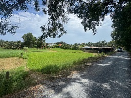 ► BÁN LÔ ĐẤT ĐẸP – FULL THỔ CƯ – GẦN KCN TÂN HƯƠNG & QL1A, TIỀN GIANG. - 2