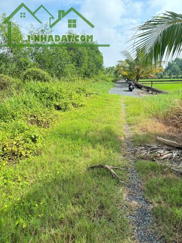 Chính Chủ 179m2 Đất Tại Ấp 2, Xã Hữu Thạnh, Huyện Đức Hoà, Long An. Full Thổ Cư. - 2