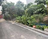 🔥 BÁN ĐẤT ĐẸP 48M²/MT4 - VĨNH THANH (HẢI BỐI, ĐÔNG ANH) – Ô TÔ VÀO TẬN ĐẤT – GIÁ CỰC TỐT