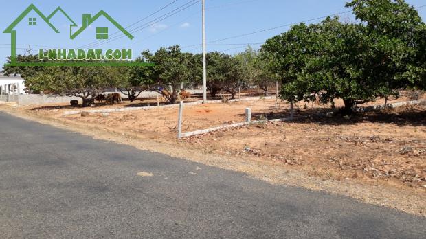 Đất Ngộp mặt tiền DT715-Mũi Né(Thiện Nghiệp-Phan Thiết)-Lâm Đồng-1,46Ha+1,26Ha - 3