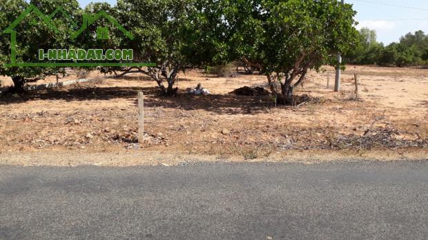 Đất Ngộp mặt tiền DT715-Mũi Né(Thiện Nghiệp-Phan Thiết)-Lâm Đồng-1,46Ha+1,26Ha - 2