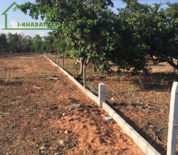Đất Ngộp mặt tiền DT715-Mũi Né(Thiện Nghiệp-Phan Thiết)-Lâm Đồng-1,46Ha+1,26Ha - 1