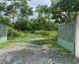 Bán đất xã Hiếu Liêm, Bắc Tân Uyên 3 mặt tiền, cao su 4 năm tuổi