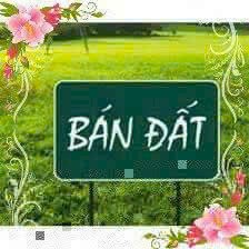 Bán lô đất DT 450M tuyến 2 Lê Hồng Phong Ngô Quyền Hải An