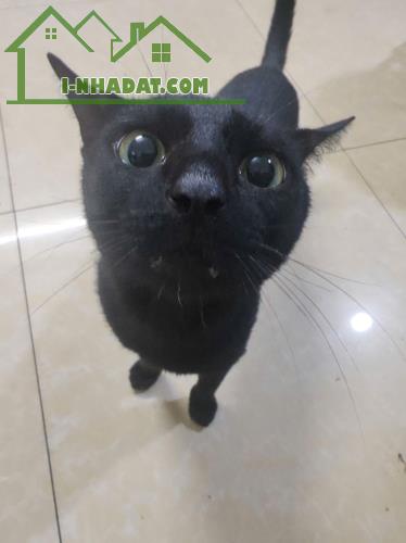 Bán căn hộ 2 PN chung cư Ngô Gia Tự - Cao ốc B - 5