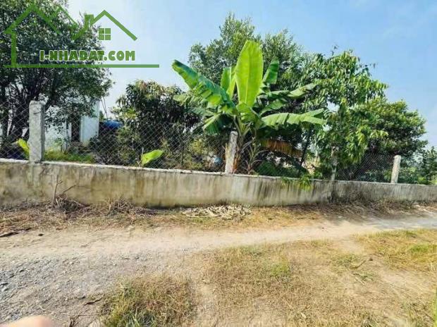 CHÍNH CHỦ BÁN GẤP 150M2 ĐẤT FULL THỔ SAU LƯNG CHỢ ĐỨC HÒA GIÁ 750TR ,SHR HIỂN THỊ ĐƯỜNG - 3