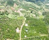 Bán 6 Lô F0 khu vực ven Đà Lạt, Sổ hồng riêng, giá 529 triệu