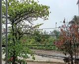 CHÍNH CHỦ CẦN BÁN ĐẤT MẶT ĐƯỜNG LÊ THÁI TỔ – TRUNG TÂM XÃ KIM TÂN, HUYỆN THẠCH THÀNH,