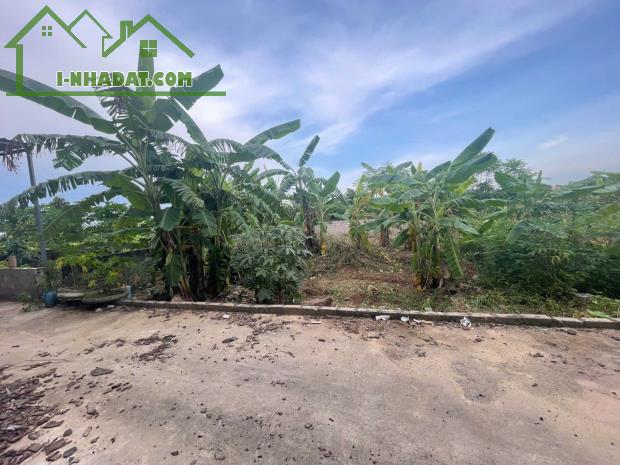 💥 Lô góc 124m² vuông đẹp tại thôn Quyết Thượng, Đông Sơn