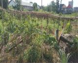 ĐẤT CHÍNH CHỦ - MẶT TIỀN Ấp Rừng Dầu, Xã Mỹ Hạnh Bắc, Huyện Đức Hòa, Long An