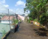 Bán Nhà Cấp 4 Hẻm Kim Đồng, Phường 6 – TP. Đà Lạt, Gần Nhiều Tiện Ích