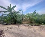 💥 Lô góc 124m² vuông đẹp tại thôn Quyết Thượng, Đông Sơn