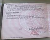 LÔ ĐẤT ĐẸP- GIÁ TỐT cần bán nhanh lô đất vị trí đắc địa tại huyện Phú Xuyên, TP Hà Nội