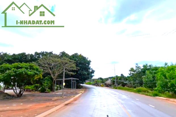 CHÍNH CHỦ BÁN GẤP LÔ ĐẤT MẶT TIỀN KINH DOANH CHỢ MINH LẬP – CHƠN THÀNH, BÌNH PHƯỚC 485tr - 1