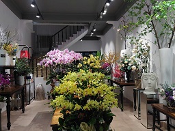 CHO THUÊ TẦNG 1 CỬA HÀNG / VĂN PHÒNG / MẶT BẰNG KINH DOANH - 4