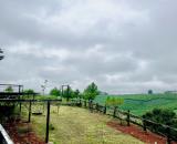 Bán trang trại, khu nghỉ dưỡng tại Đường Tỉnh lộ 725, Xã Lộc Ngãi, Bảo Lâm, Lâm Đồng, 15 t