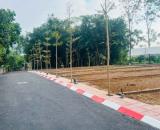 GIÁ CỦA CHỦ 80M² FULL THỔ CƯ Đồi Miễu Xuân Mai Hà Nội CHỈ 1.56 tỷ