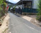 Đất Ql20 – Gần Vòng Xoay Trại Mát, Phường 11, Tp. Đà Lạt | Pháp Lý Chuẩn, Vị Trí Tiềm Năng