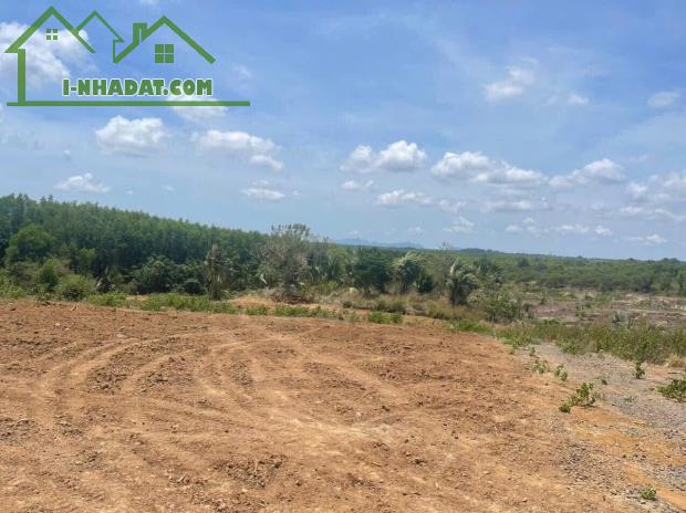 Chủ bán nhanh lô đất đẹp Suối Rao - Châu Đức - Bà Rịa - 1