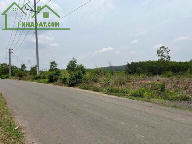 Chủ bán nhanh lô đất đẹp Suối Rao - Châu Đức - Bà Rịa - 3