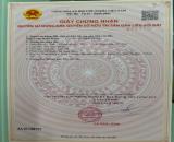 CẦN BÁN GẤP LÔ ĐẤT 113M2 CHỈ VỚI 700 TRIỆU CHỈ CÁCH BIỂN 1,5KM NGAY PHƯỚC HẢI BRVT .