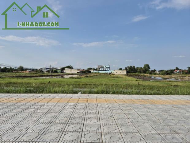Bán đất 22x70.5 nở hậu (dt 1647m2) giá bán 7.5 tỷ, Xã Đức Hòa Đông, Đức Hòa, Long An. - 4