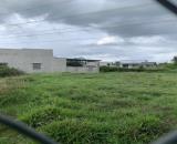 ĐẤT NỀN KHU DÂN CƯ HÀM LIÊM - 195M2 SỔ HỒNG FULL THỔ CƯ